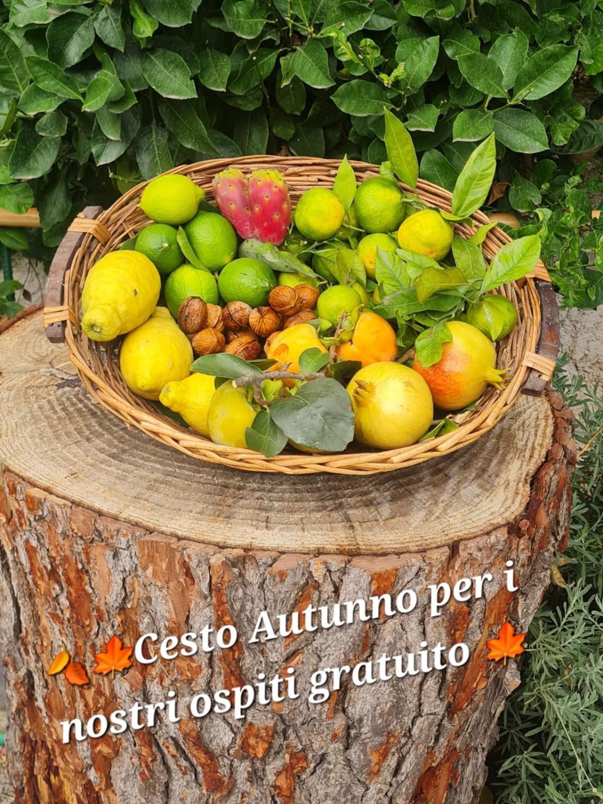 B&B Casa Vacanza Cioffi Vico Equense Extérieur photo
