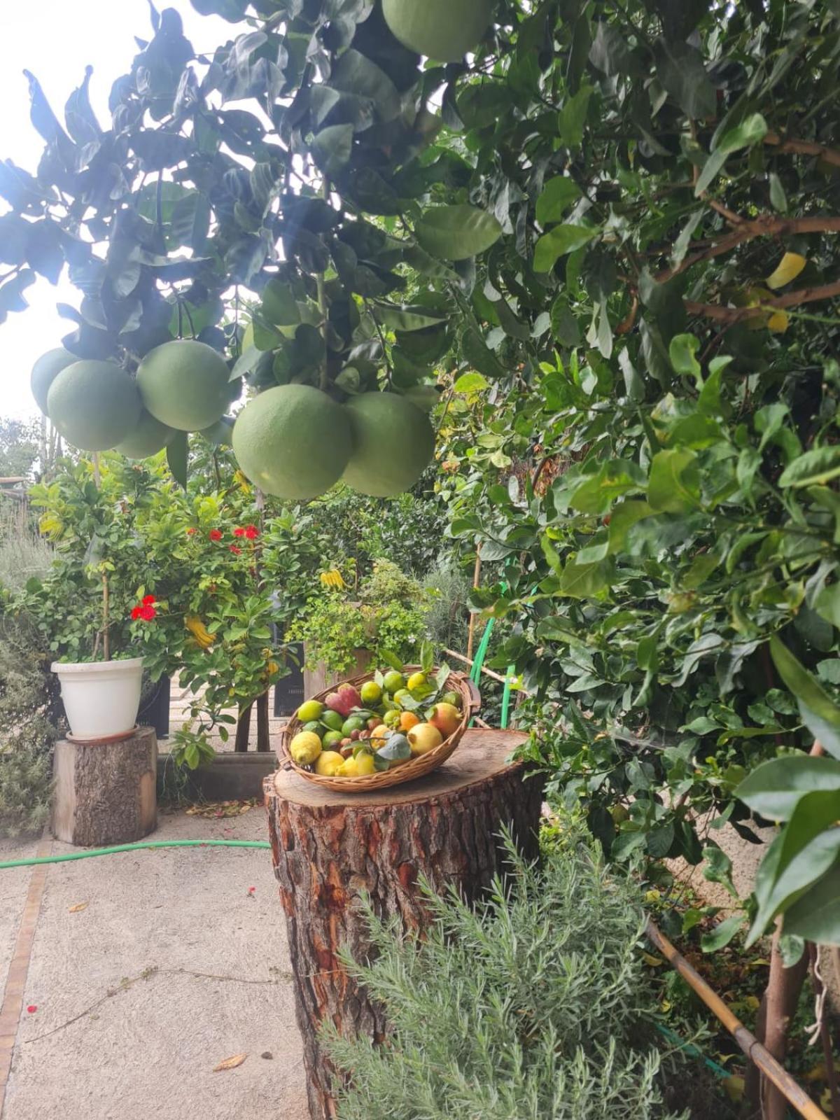 B&B Casa Vacanza Cioffi Vico Equense Extérieur photo